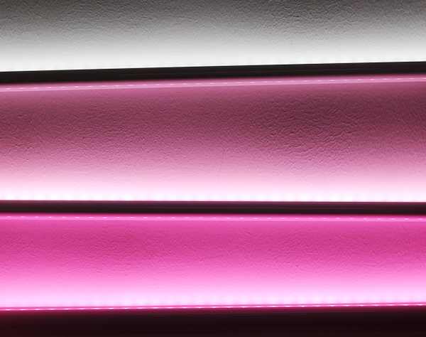 鮮肉柜專(zhuān)用桃紅光歐恩照明X5D 鮮肉柜專(zhuān)用桃紅光歐恩照明X5D