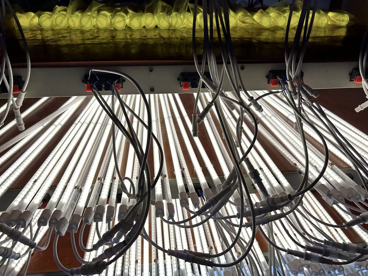 4cc71105-46a9-4b3c-b968-dd1a62dc7dc6.jpg 4cc71105-46a9-4b3c-b968-dd1a62dc7dc6.jpg